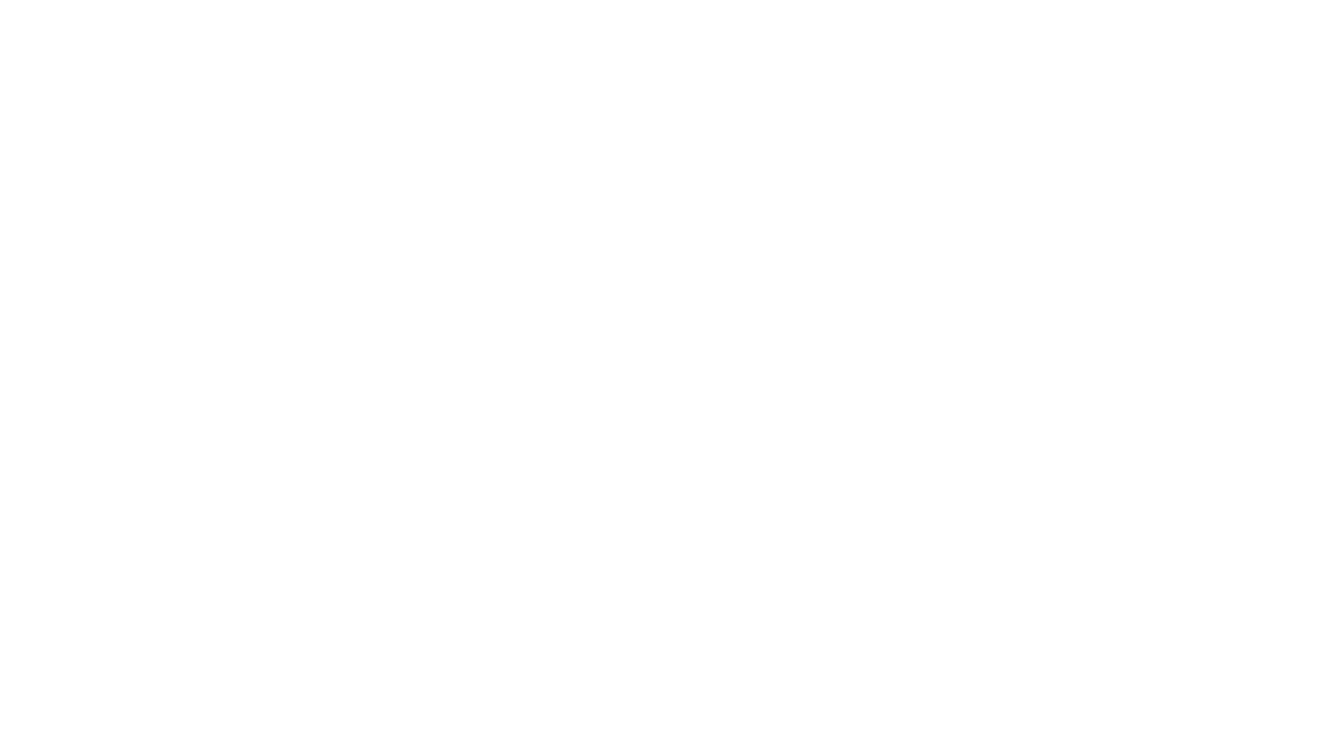 Logo white